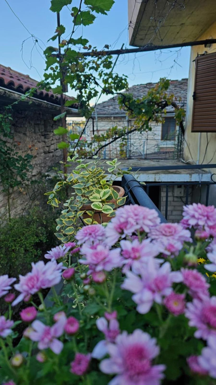 Luigi Guest House Гирокастра Экстерьер фото